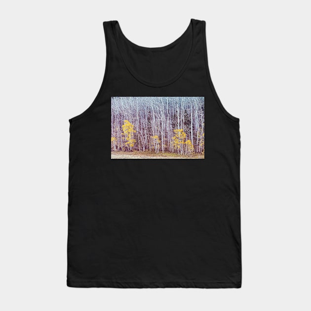 Aspens Late Autumn Tank Top by jvnimages